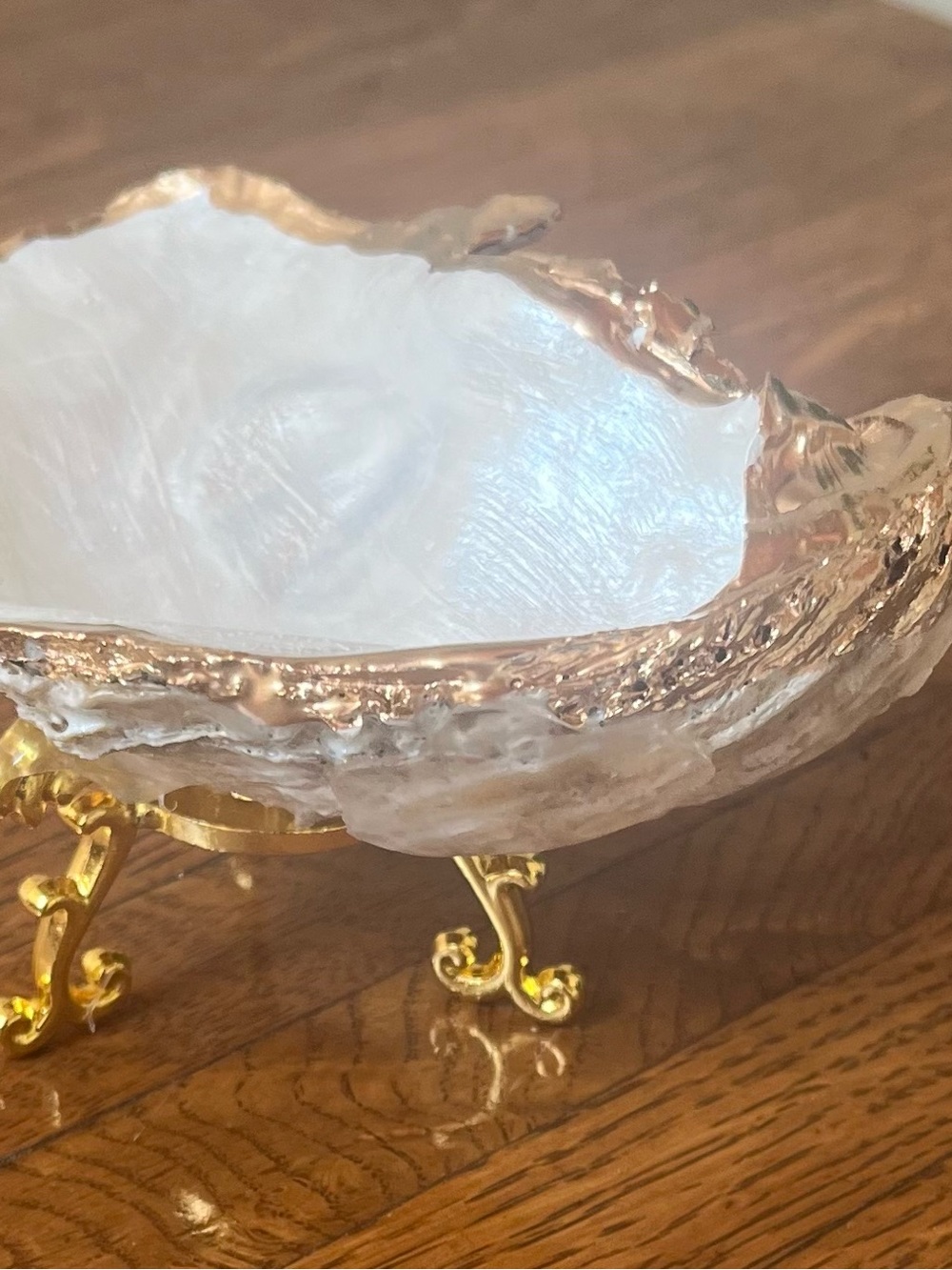 Oyster shell trinket dish